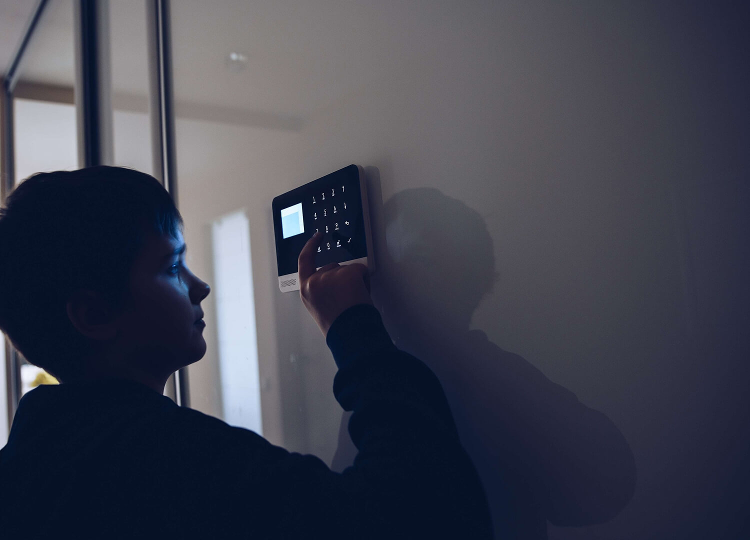 Security Systems and Services